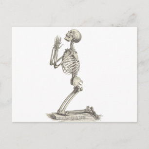 Carte Postale Squelette vintage