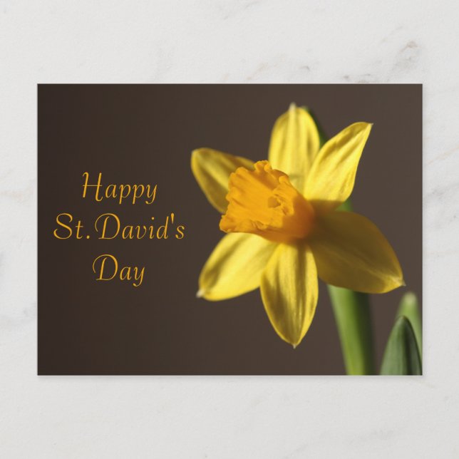 Carte postale St.David's Day (Devant)