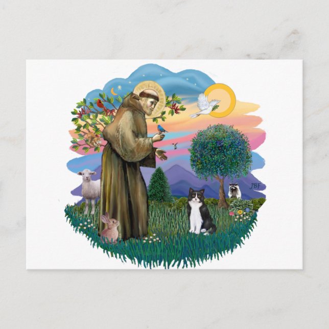 Carte Postale St Francis (ff) - chat noir et blanc (Devant)