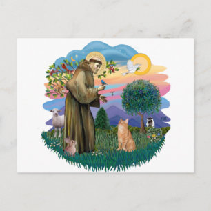 Carte Postale St Francis (ff) - Chat tigré orange