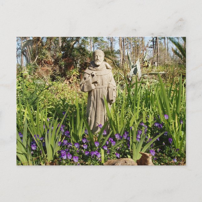 Carte Postale St. Francis Parmi Les Pansies (Devant)