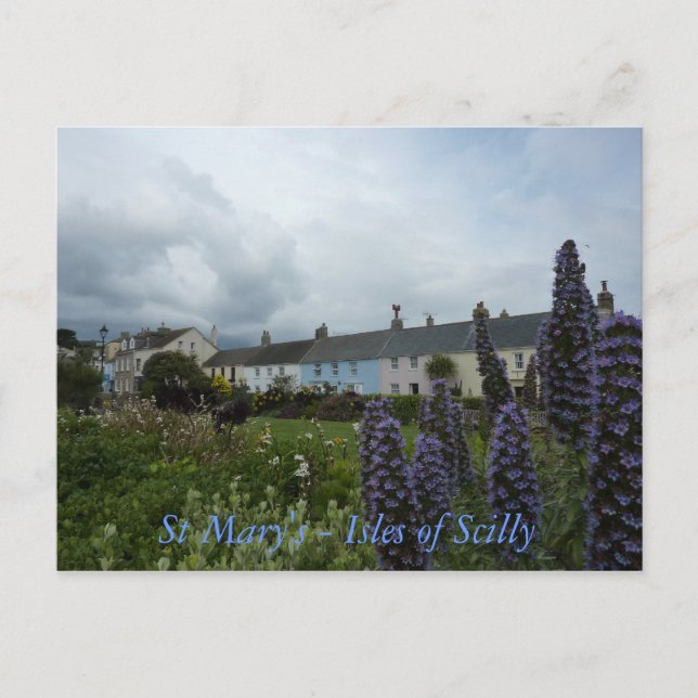 CARTE POSTALE - St Mary's, Îles de Scilly (Devant)