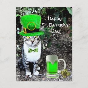 CARTE POSTALE ST PATRICK'S DAY CHAT AVEC BIÈRE IRLANDAISE VERTE