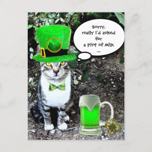 CARTE POSTALE ST PATRICK'S DAY CHAT AVEC BIÈRE IRLANDAISE VERTE