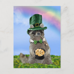 Carte Postale St Patrick's Day - Lucky Raccoon