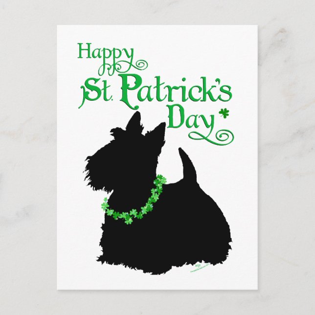 Carte Postale St Patrick's Day Scottish Terrier (Devant)