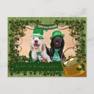 Carte Postale St Pats Day - Golden Doodles - Sadie et Izzie