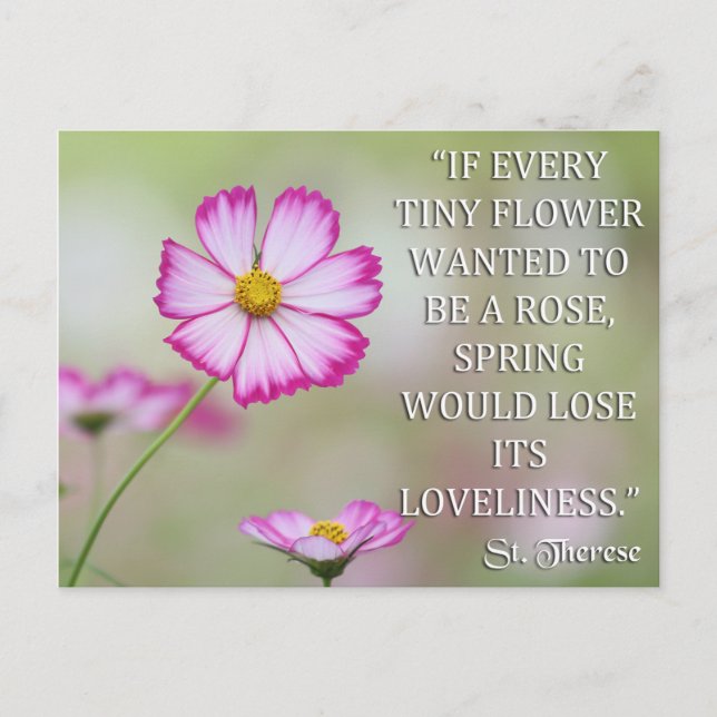 CARTE POSTALE ST THERESE DE LISIEUX SI CHAQUE PETITE FLEURS RECH (Devant)