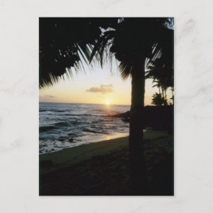Carte Postale St. Thomas Beach Sunset Postcard