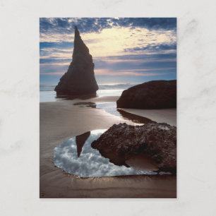 Carte Postale Stack marin en forme d'épine   Face Rock Wayside, 