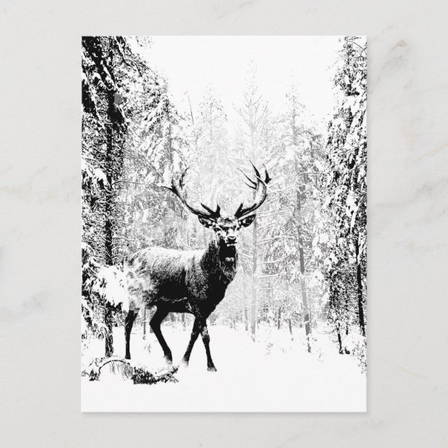 Carte Postale Stade Deer Forêt d'hiver Faune Animal Nature Art (Devant)