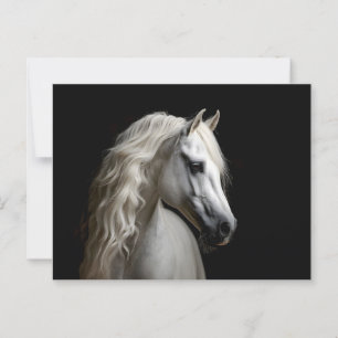 Carte Postale Stallion blanc andalou