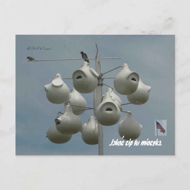 Carte postale Stamford Ct (Devant)