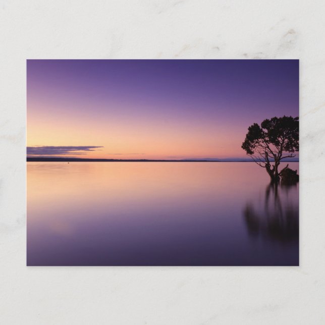 Carte postale standard (Devant)