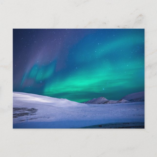 Carte postale standard (Devant)