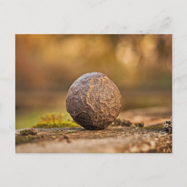 Carte postale standard (Devant)