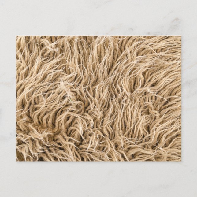 Carte postale standard (Devant)