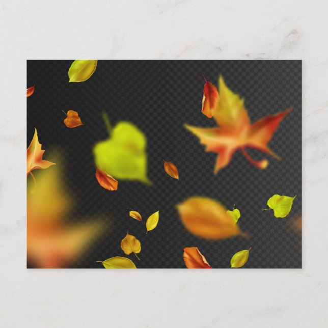 Carte postale standard (Devant)