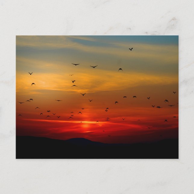 Carte postale standard (Devant)