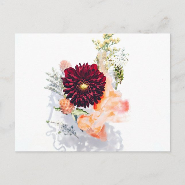 Carte postale standard (Devant)