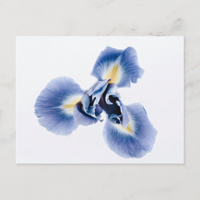 Carte postale standard (Devant)