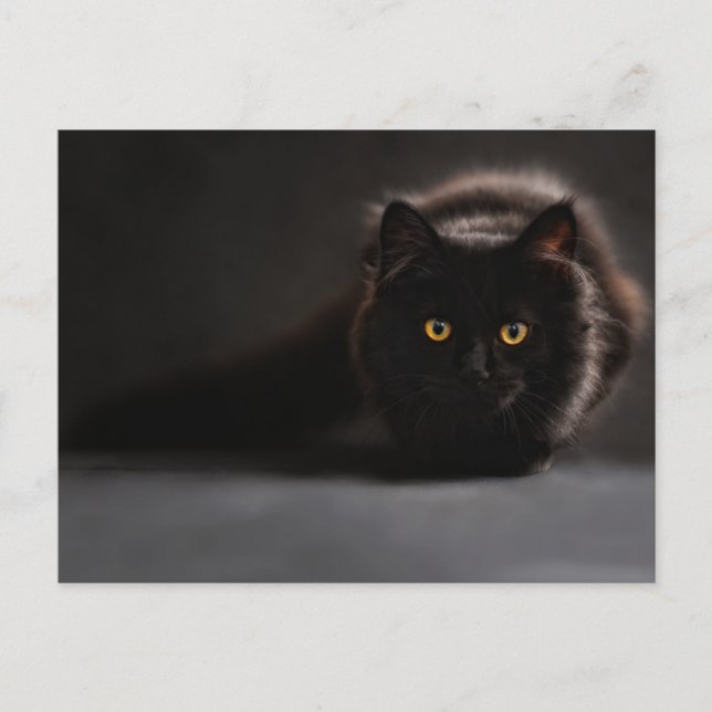 Carte postale standard (Devant)