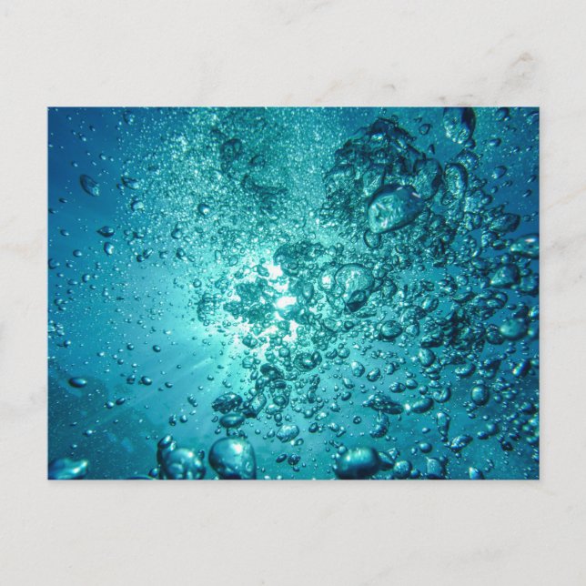 Carte postale standard (Devant)