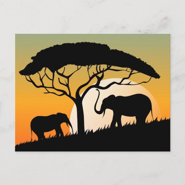 Carte postale standard (Devant)