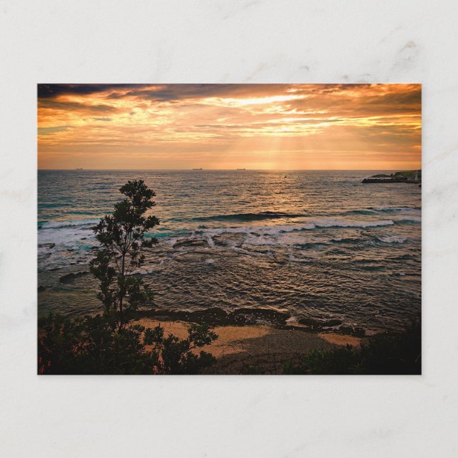Carte postale standard (Devant)