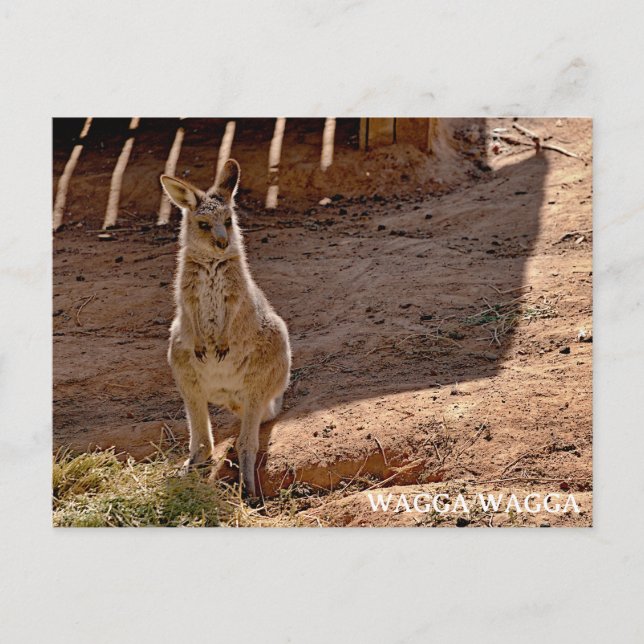 Carte postale standard (Devant)