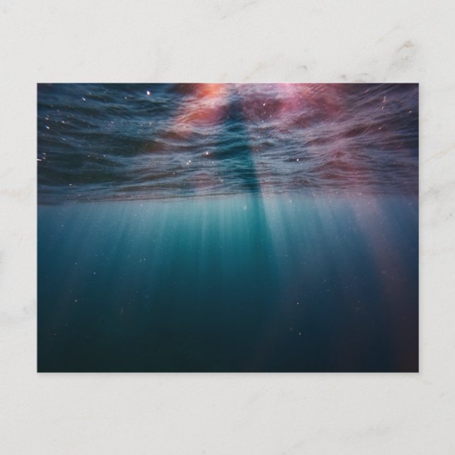 Carte postale standard (Devant)