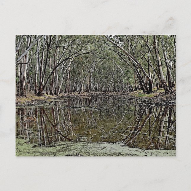 Carte Postale Standard postcard (Devant)