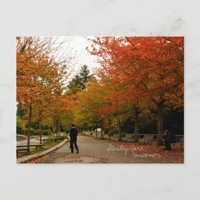 Carte Postale Stanley Park (Devant)