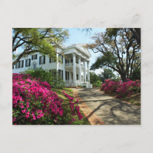 Carte Postale Stanton Hall - Printemps à Natchez, Mississippi