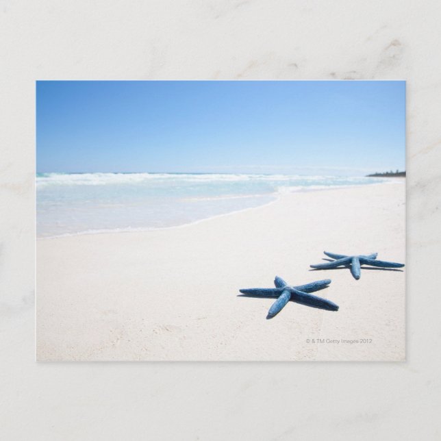 Carte Postale Starfish bleu (Devant)