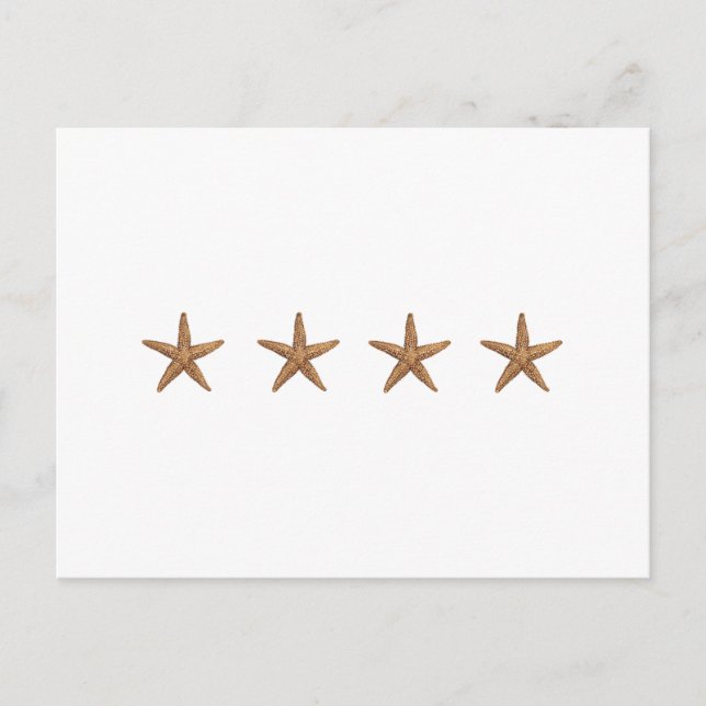 Carte Postale Starfish - Northern Sea Star (Devant)