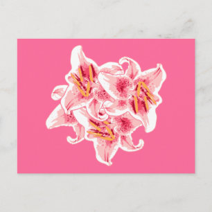 Carte Postale Stargazer Lilies