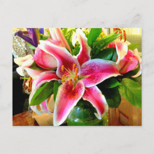 carte postale stargazer rose
