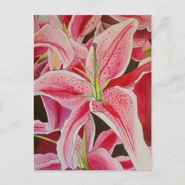 Carte Postale Stargazer rose Lily aquarelle couleur originale fl (Devant)