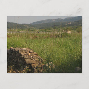 Carte Postale Stari Grad Plain