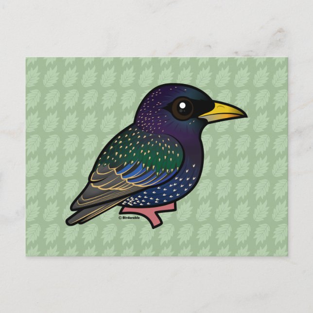 Carte Postale Starling européen Birdorable (Devant)