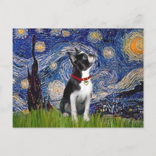 Carte Postale Starry Night - Boston T (2rc)