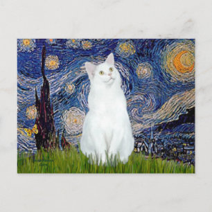 Carte Postale Starry Night - chat blanc