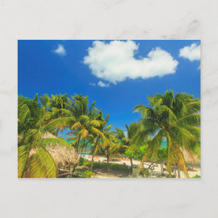Carte Postale Station balnéaire tropicale, Belize