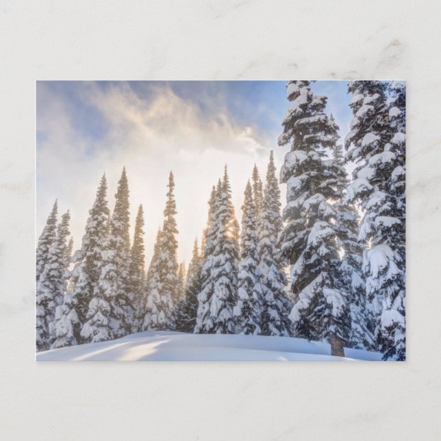 Carte Postale Station de ski de Crystal Mountain, près de Mt. Ra (Devant)