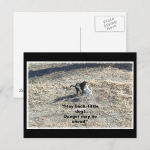 Carte postale Stay Back Little Dog