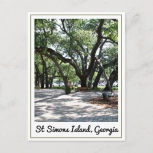 Carte Postale Ste Simons GA Wandering Oak Tree