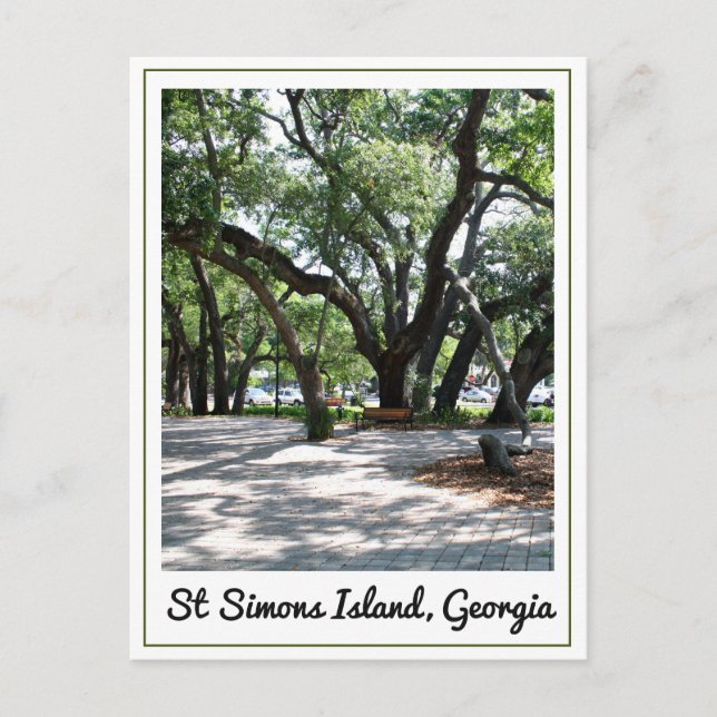 Carte Postale Ste Simons GA Wandering Oak Tree (Devant)