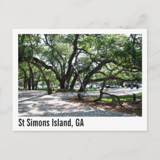 Carte Postale Ste Simons GA Wandering Oak Tree