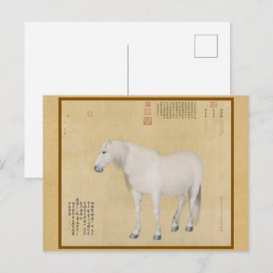 Carte Postale Steed - Un Cheval Nommé Benxiaocong Chinese Fine A